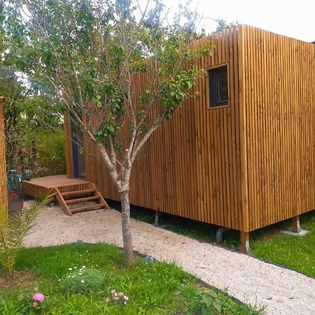 La Cabane Du Figuier A Rambouillet Dış mekan fotoğraf